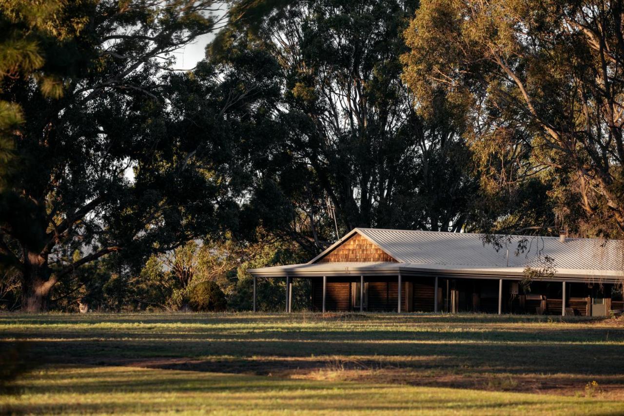Palmers Lane Estate Hunter Valley Pokolbin Eksteriør bilde