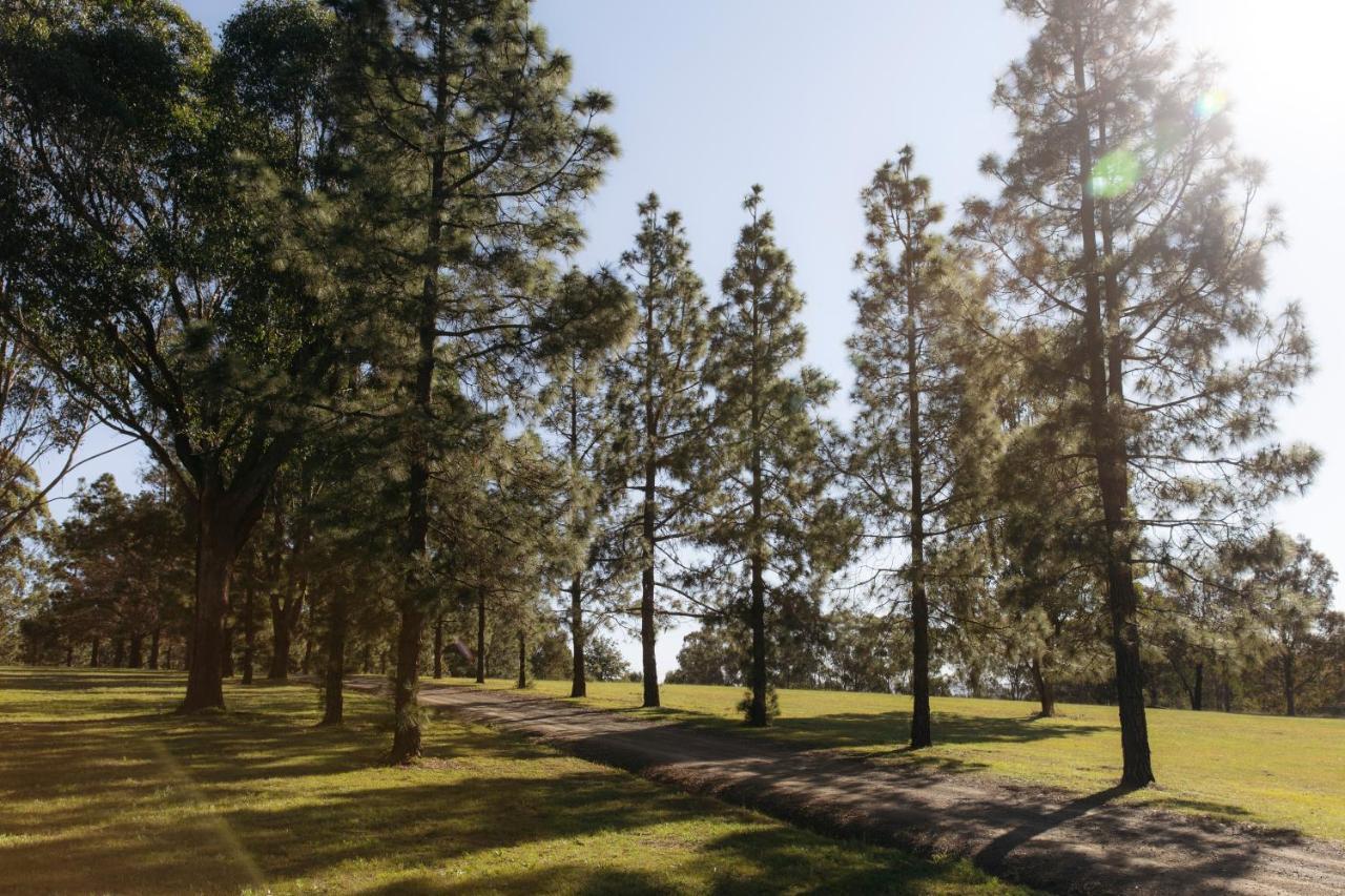 Palmers Lane Estate Hunter Valley Pokolbin Eksteriør bilde